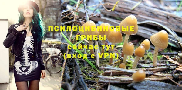 PSILOCYBIN Чегем