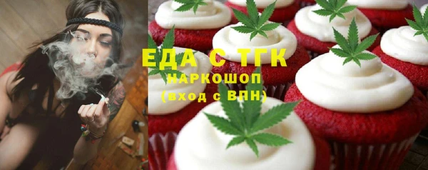 индика Чердынь