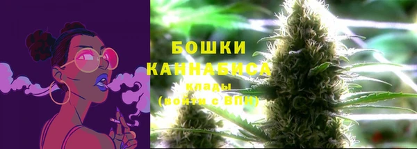 apvp Шали