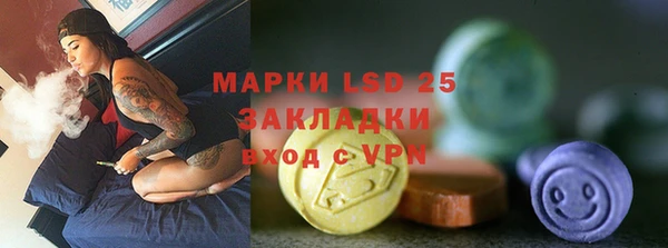 индика Чердынь