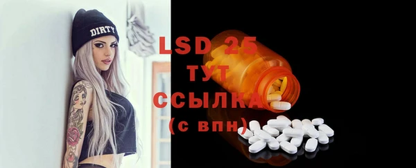 дживик Шадринск