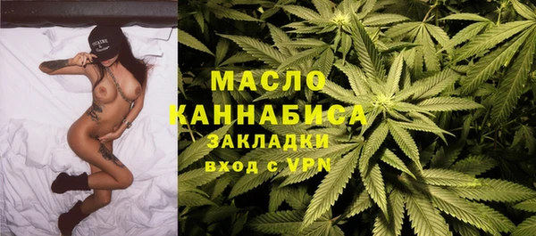 индика Чердынь
