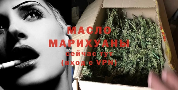 индика Чердынь