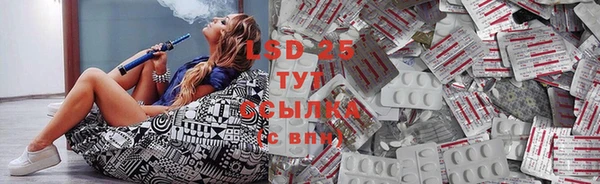 индика Чердынь