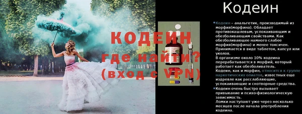 индика Чердынь