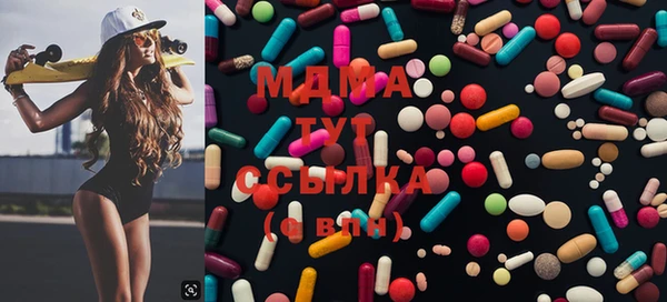PSILOCYBIN Чегем