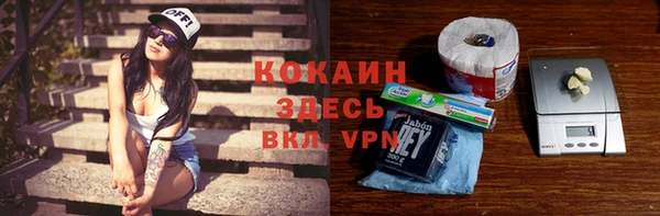 PSILOCYBIN Чегем